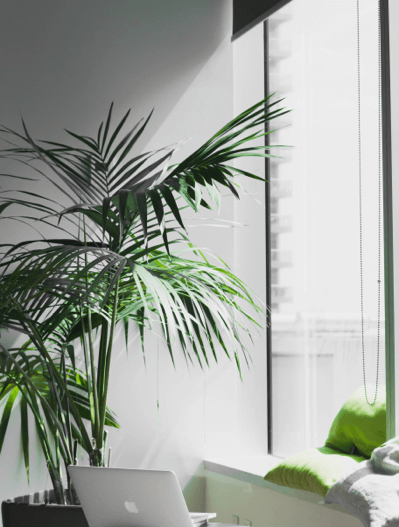 alesia kazantceva E8dAbseeFLo unsplash 1