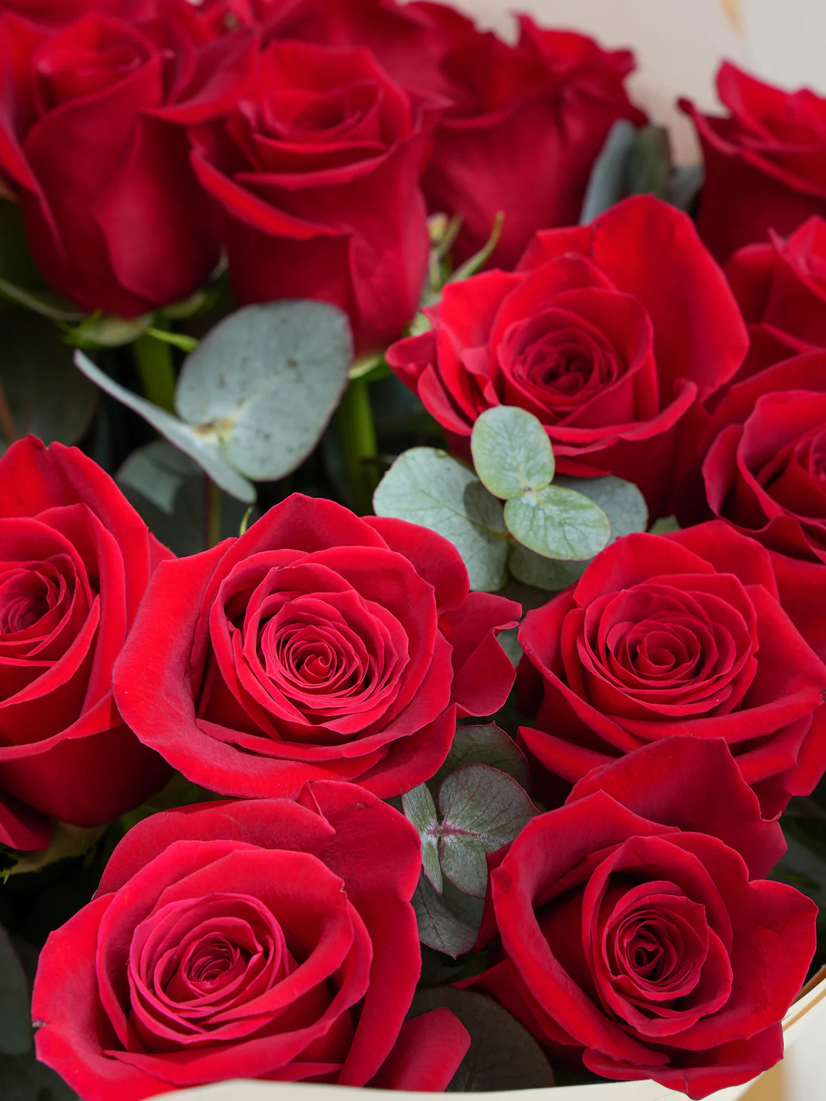 13 red roses bouquet flowers in kundu 2