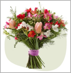 flowers category